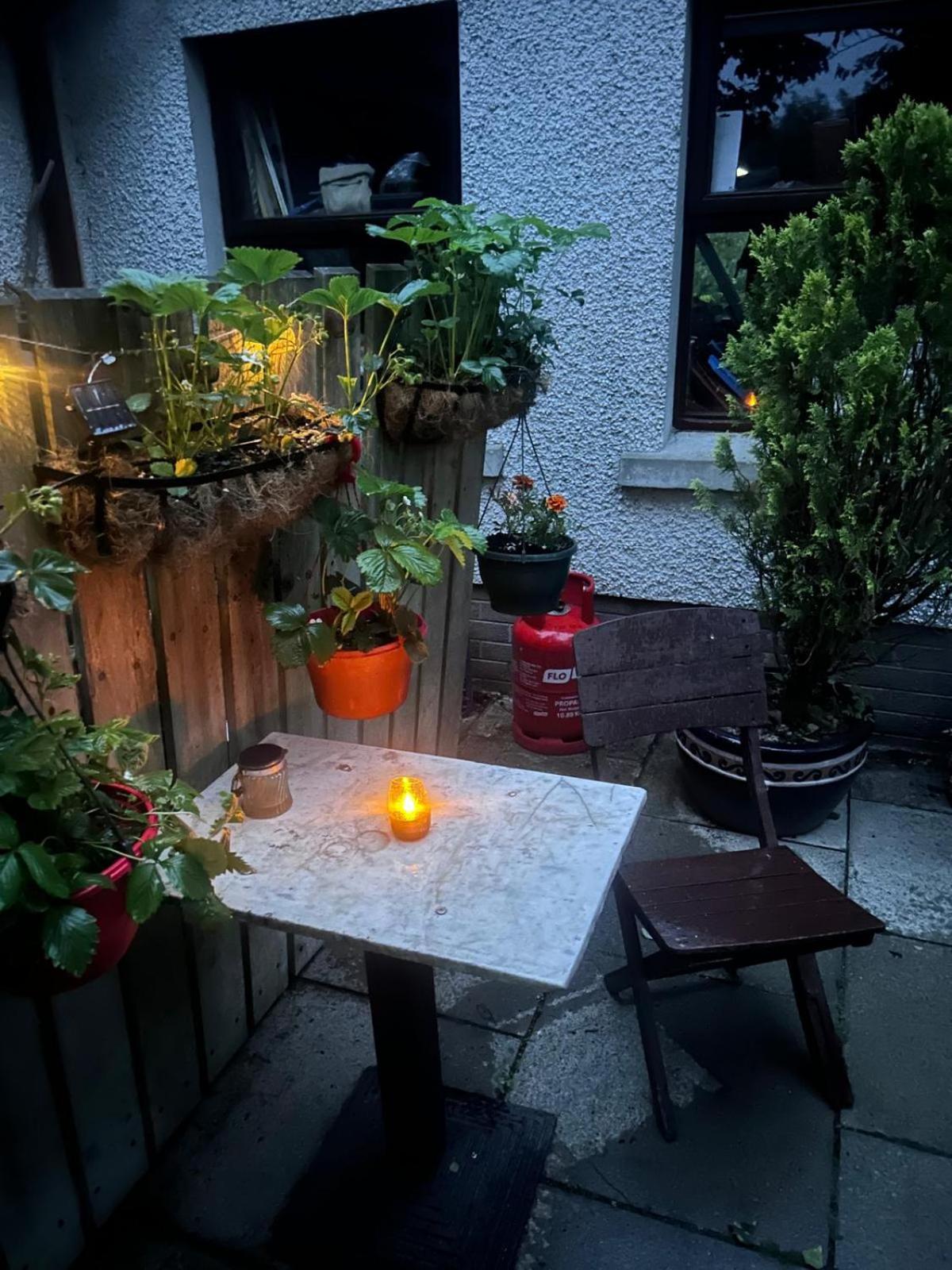 The Loft At Rowantree Cottage Dromara المظهر الخارجي الصورة